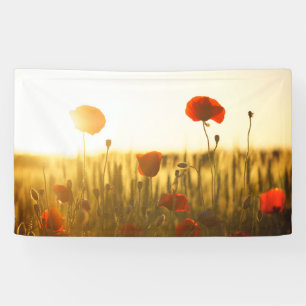 91 x 152 cm spandoek