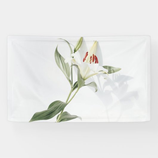 91 x 152 cm spandoek (Horizontaal)