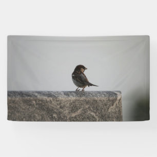 91 x 152 cm spandoek