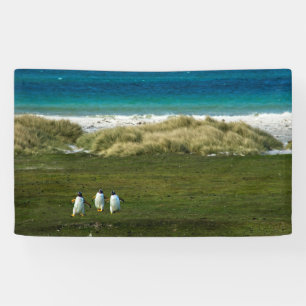 91 x 152 cm spandoek