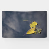 91 x 152 cm spandoek (Horizontaal)