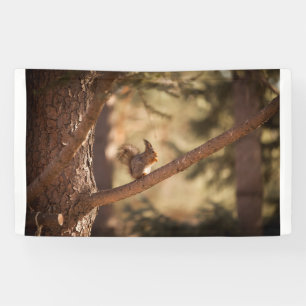 91 x 152 cm spandoek