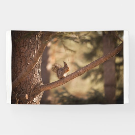 91 x 152 cm spandoek (Horizontaal)