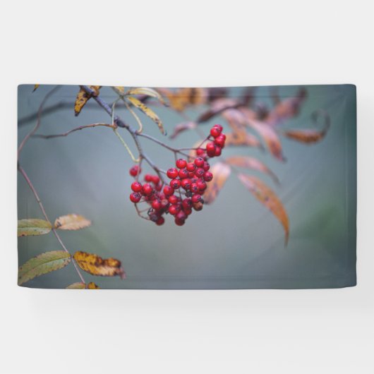 91 x 152 cm spandoek (Horizontaal)