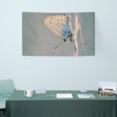 91 x 152 cm spandoek (Beurs)