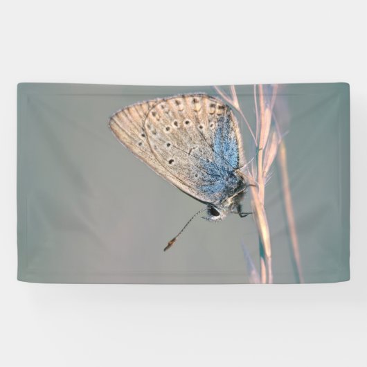 91 x 152 cm spandoek (Horizontaal)