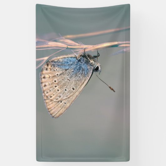 91 x 152 cm spandoek (Verticaal)