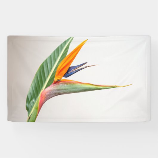 91 x 152 cm spandoek (Horizontaal)