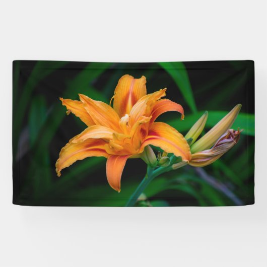 91 x 152 cm spandoek (Horizontaal)