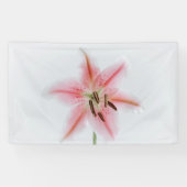 91 x 152 cm spandoek (Horizontaal)