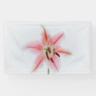 91 x 152 cm spandoek