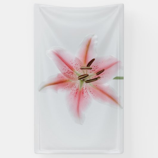 91 x 152 cm spandoek (Verticaal)