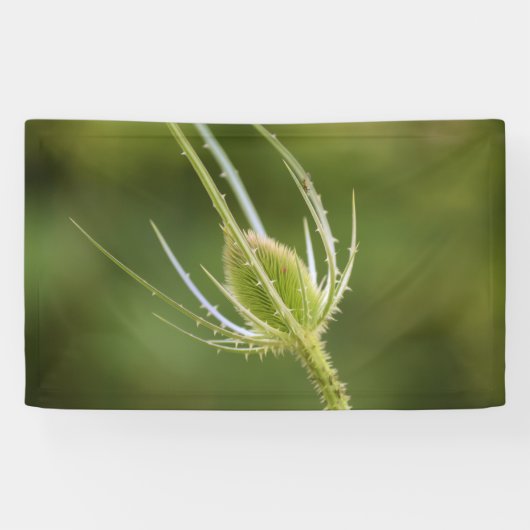 91 x 152 cm spandoek (Horizontaal)