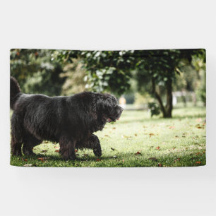 91 x 152 cm spandoek