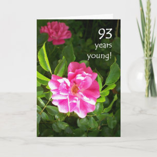 93e verjaardag Kaart - Roze Rozen