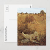 94 graden in de Shade, Sir Lawrence Alma Tadema Briefkaart (Voorkant / Achterkant)