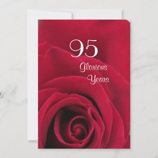 95e verjaardag!-Diepe rode roze Kaart (Voorkant)