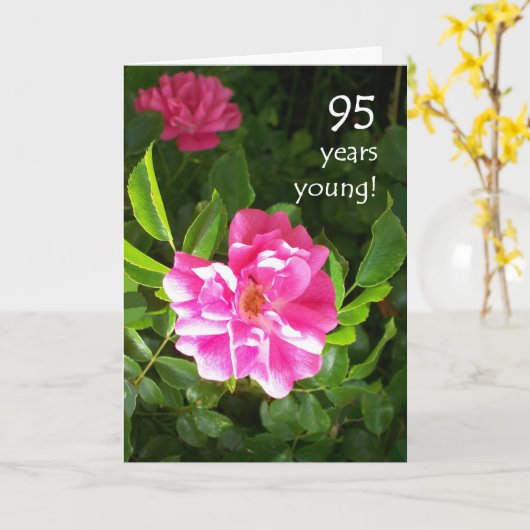 95e verjaardag Kaart - Roze Rozen (Gele Bloem)