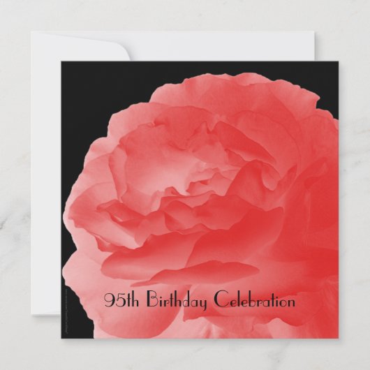 95e verjaardagsfeestje Coral Pink Rose, Naam, Bloe Kaart (Voorkant)