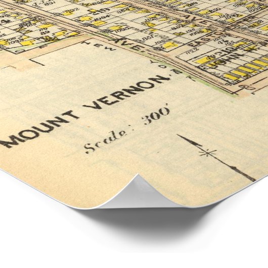 9899 Mt Vernon Poster (Hoek)