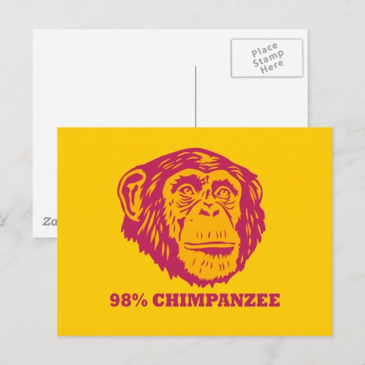 98% chimpansee briefkaart (Voorkant / Achterkant)
