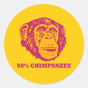 98% chimpansee ronde sticker