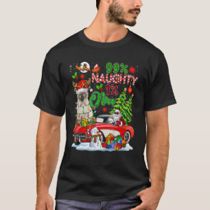 99 procent stout 1 aardig rendier kat met kerstman t-shirt