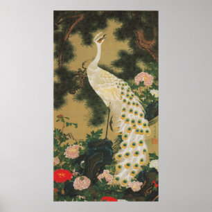9. 老 孔 図, 若 OUDE Pijn-boom en 松 Peacock, Jakuchu Poster
