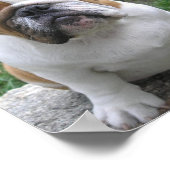 9-17-05-003 POSTER (Hoek)