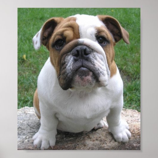 9-17-05-003 POSTER (Voorkant)