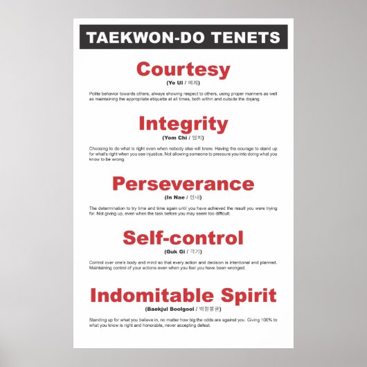 9-2 Generic Taekwon-Do Poster Tenets (Voorkant)