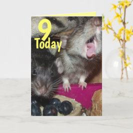 9 baby van vandaag de dag kaart