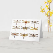 9 Dragonfly soorten Kaart (Gele Bloem)