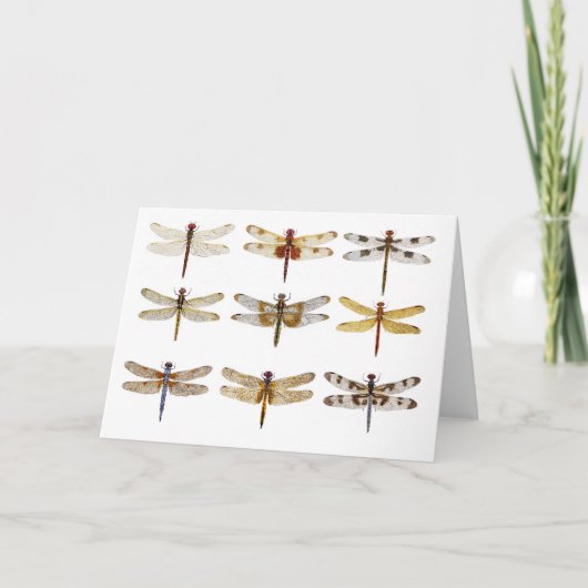 9 Dragonfly soorten Kaart (Voorkant)