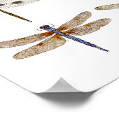 9 Dragonfly-waterverven Poster (Hoek)