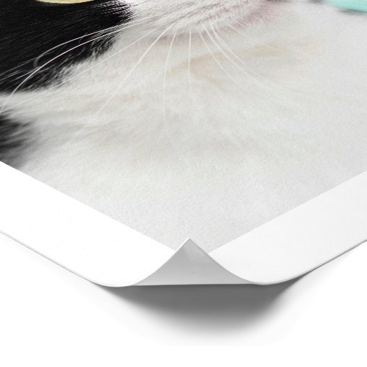 9 Foto Moderne Collage Kat Hond Poster (Hoek)