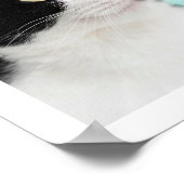 9 Foto's Moderne Collage Kat Hond Poster (Hoek)