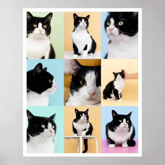 9 Foto's Moderne Collage Kat Hond Poster (Voorkant)