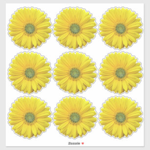 9 Gele Gerber Daisy Flower Kiss-Cut Stickers