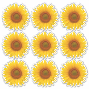 9 Gele Oranje Zonnebloem Bloem Kiss-Cut Stickers