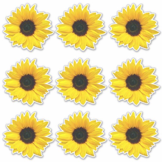 9 gele zonnebloem kiss-cut Stickers (Voorkant)
