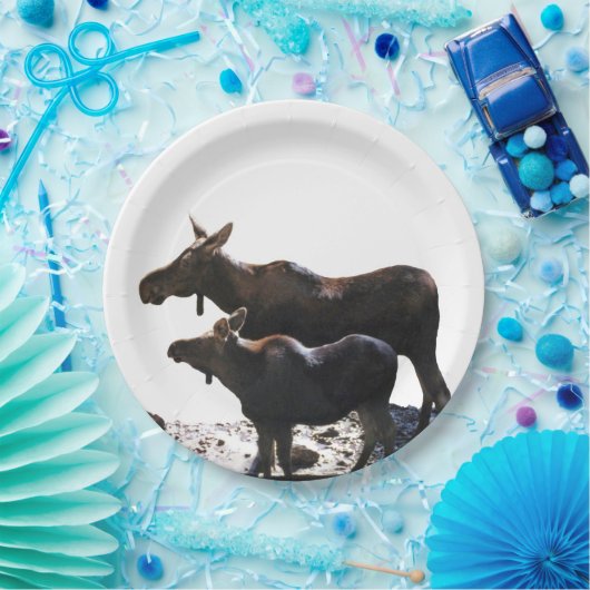 9-inch Bord papier met vloeiend (Feest)