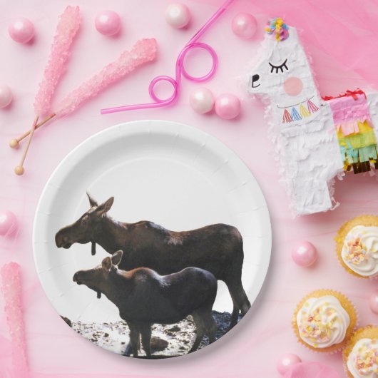 9-inch Bord papier met vloeiend (Feest)