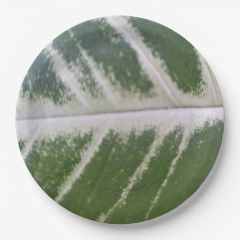 9 inch elegant groen blad met delicate witte lijn papieren bordje