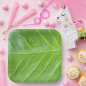 9-inch vierkante papieren Bord met betoverend groe (Feest)