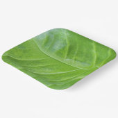 9-inch vierkante papieren Bord met betoverend groe (Gebogen)