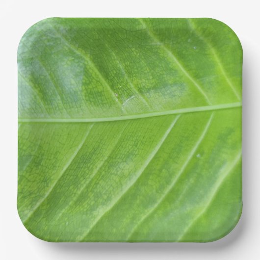 9-inch vierkante papieren Bord met betoverend groe (Voorkant)