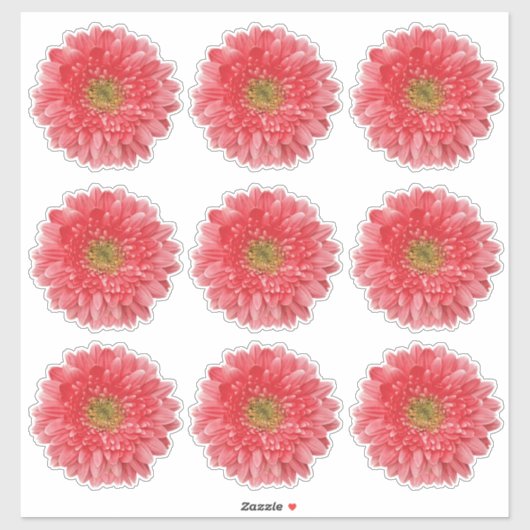 9 Koraalrode Gerbera Kiss-Cut Stickers (Vel)