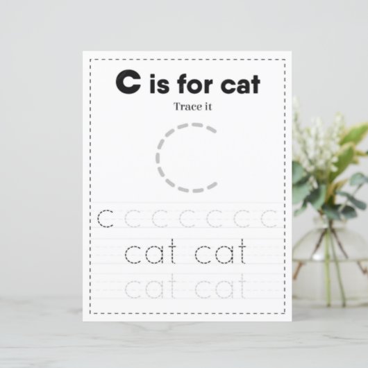 9 Learn To Spell Letter C Teacher Home Schooling (Staand voorkant)