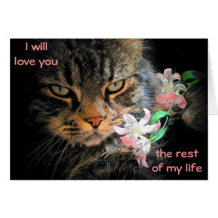 9 Levens om van je te houden Cat Meme